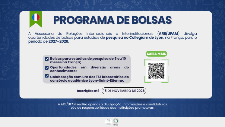 Bolsas para estadias de pesquisa no Collegium de Lyon 2027–2028